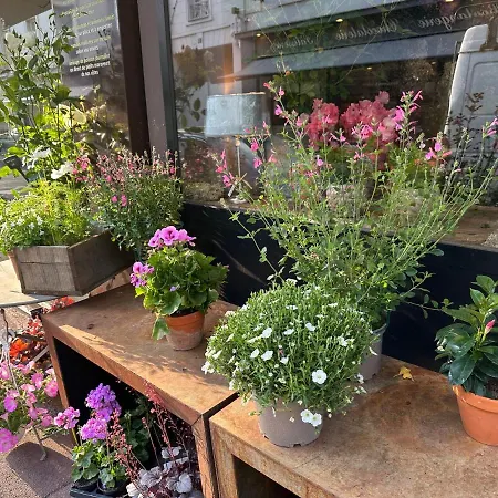 La Terrasse Apartman