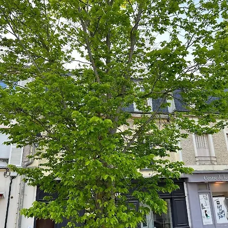 Apartman La Terrasse Le Vésinet